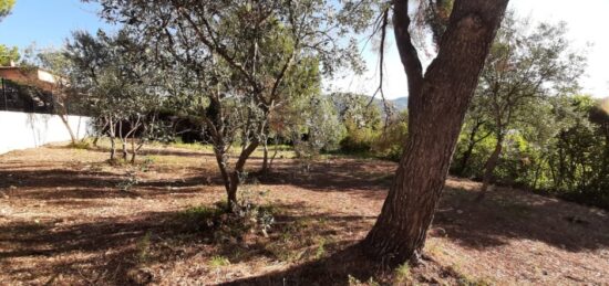 Terrain à bâtir à Draguignan, Provence-Alpes-Côte d'Azur