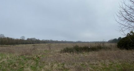 Pont-l'Abbé-d'Arnoult Terrain à bâtir - 2459795-11194annonce320260318gnybE.jpeg Maisons Open