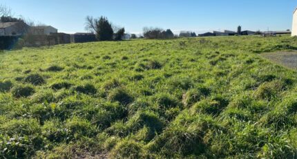 Hiers-Brouage Terrain à bâtir - 2459897-11194annonce220260318MJCVG.jpeg Maisons Open