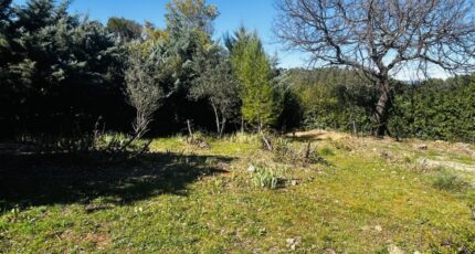 Le Thoronet Terrain à bâtir - 2460227-4529annonce120260318zlKZt.jpeg Maisons Open
