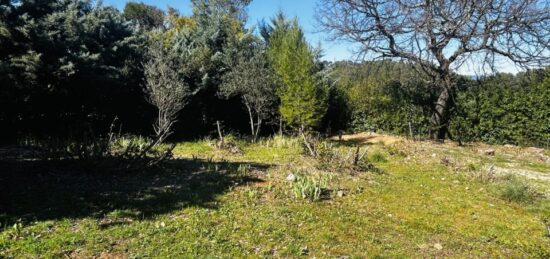 Terrain à bâtir à Le Thoronet, Provence-Alpes-Côte d'Azur