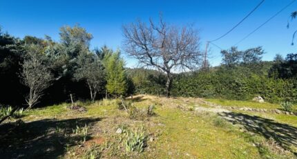 Le Thoronet Terrain à bâtir - 2460227-4529annonce320260318RlnrK.jpeg Maisons Open