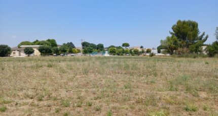 Galargues Terrain à bâtir - 2460539-11040annonce120260318UhsEZ.jpeg Maisons Open