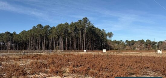 Terrain à bâtir à Vielle-Saint-Girons, Nouvelle-Aquitaine