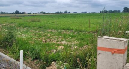 Staple Terrain à bâtir - 2460569-10722annonce120260318dBrLE.jpeg Maisons Open