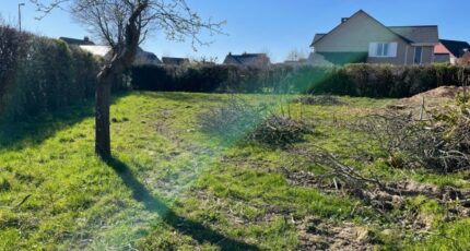 Franqueville-Saint-Pierre Terrain à bâtir - 2460952-5578annonce1202603189hHSq.jpeg Maisons Open