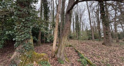 Saint-Pierre-lès-Nemours Terrain à bâtir - 2460991-1635annonce320260318rUtTQ.jpeg Maisons Open