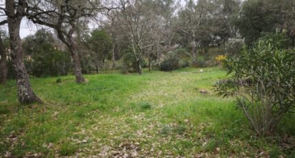 Carnoules Terrain à bâtir - 2461020-11039annonce1202603181dkC6.jpeg Maisons Open