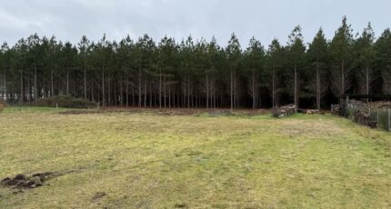 Le Temple Terrain à bâtir - 2461144-1088annonce1202603183nuxd.jpeg Maisons Open