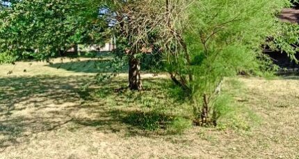 Tournefeuille Terrain à bâtir - 2459529-10327annonce120260317QJAJU.jpeg Maisons Open