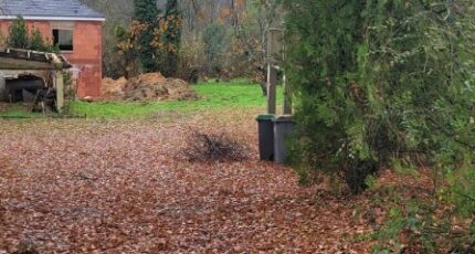 Samoreau Terrain à bâtir - 2461343-4684annonce220260319lTq0G.jpeg Maisons Open