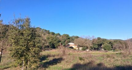 Flassans-sur-Issole Terrain à bâtir - 2461402-10746annonce120260319A1Agy.jpeg Maisons Open