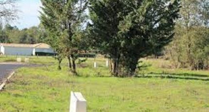 Belin-Béliet Terrain à bâtir - 2461964-3127annonce120250923dyr00.jpeg Maisons Open