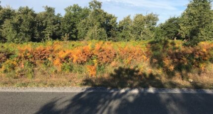 Le Temple Terrain à bâtir - 2462014-3127annonce12025102456TdL.jpeg Maisons Open