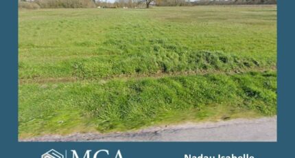 Saint-Vivien-de-Blaye Terrain à bâtir - 2459784-11516annonce120260318cm9EW.jpeg Maisons Open