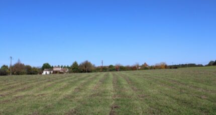 Marsalès Terrain à bâtir - 2403049-7107annonce120260122gF8ki.jpeg Maisons Open