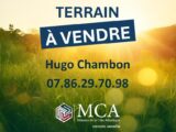  2460988-11091annonce1202603187HaG5.jpeg Maisons Open