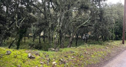 Saint-Restitut Terrain à bâtir - 2370282-6150annonce420251216s5RKJ.jpeg Maisons Open