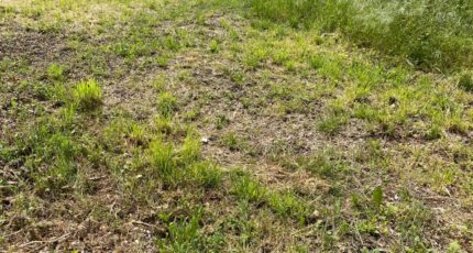 Saint-Jean-d'Angély Terrain à bâtir - 2462447-11194annonce2202603206gef1.jpeg Maisons Open