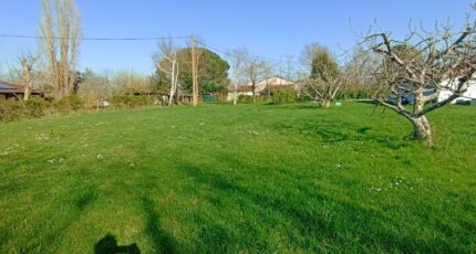 Lasserre Terrain à bâtir - 2462221-10327annonce120260319bTX5R.jpeg Maisons Open