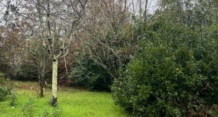 Parempuyre Terrain à bâtir - 2462622-11016annonce120260320vG7Aa.jpeg Maisons Open