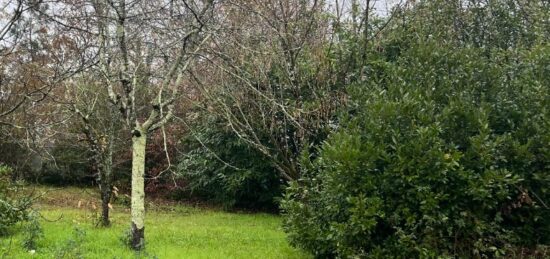 Terrain à bâtir à Parempuyre, Nouvelle-Aquitaine