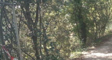 La Bastide-des-Jourdans Terrain à bâtir - 2462920-9917annonce320260320A4E5c.jpeg Maisons Open