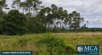 Saint-Yaguen Terrain à bâtir - 2462898-5828annonce120250919PDQfM.jpeg Maisons Open