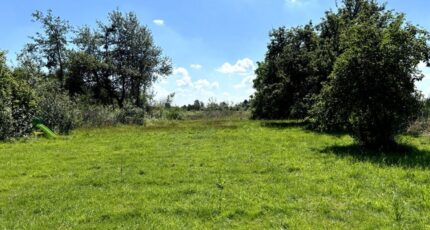 Brillon Terrain à bâtir - 2462990-11021annonce120260320Sh1aQ.jpeg Maisons Open