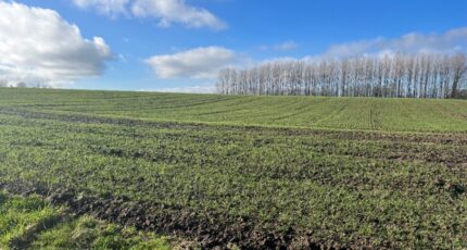 Divion Terrain à bâtir - 2460980-10222annonce120260318LZwlo.jpeg Maisons Open