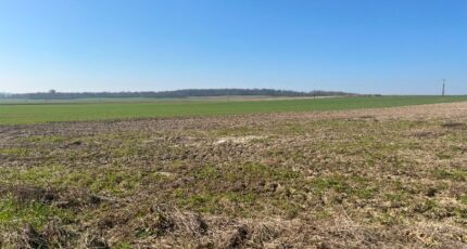 Haute-Avesnes Terrain à bâtir - 2462485-10222annonce120260320vbpEZ.jpeg Maisons Open