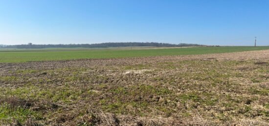Terrain à bâtir à Haute-Avesnes, Hauts-de-France