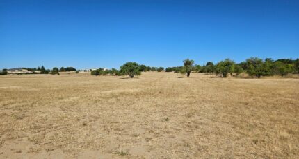 Pertuis Terrain à bâtir - 2462939-2970annonce2202603204hTaK.jpeg Maisons Open