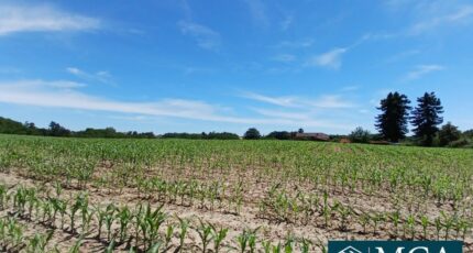 Mugron Terrain à bâtir - 2463269-5828annonce120250320EzCxy.jpeg Maisons Open