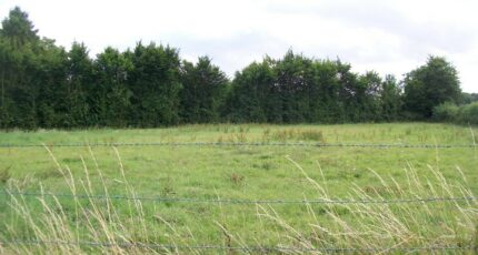 Delincourt Terrain à bâtir - 2462789-3326annonce120260320rrtM0.jpeg Maisons Open