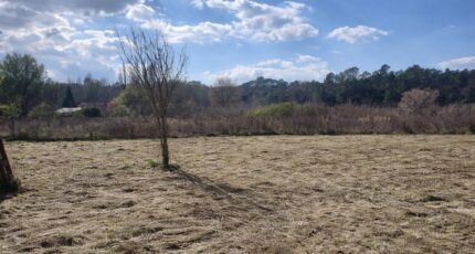 Tourves Terrain à bâtir - 2463659-11137annonce320260321ZdWrN.jpeg Maisons Open