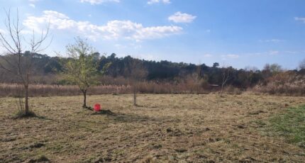 Tourves Terrain à bâtir - 2463659-11137annonce420260321hKyDH.jpeg Maisons Open