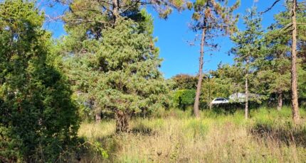 Levens Terrain à bâtir - 2463663-10316annonce320260321qXE5W.jpeg Maisons Open