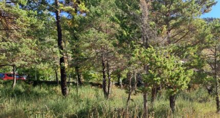 Levens Terrain à bâtir - 2463663-10316annonce4202603214TByC.jpeg Maisons Open