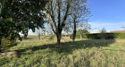 Neuilly-en-Thelle Terrain à bâtir - 2463865-11767annonce320260321ntAL2.jpeg Maisons Open