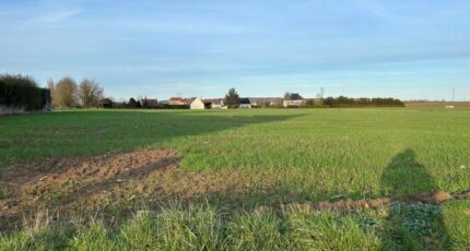 Barbery Terrain à bâtir - 2463882-11767annonce22026032167SEc.jpeg Maisons Open