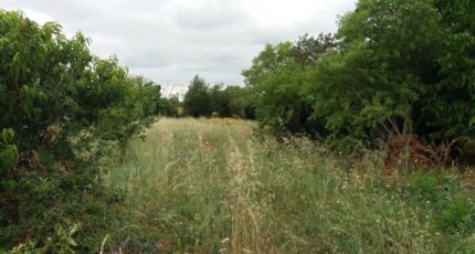 Bragayrac Terrain à bâtir - 2463429-9555annonce120260320xgKTO.jpeg Maisons Open