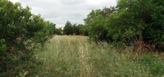 Terrain à bâtir à Bragayrac, Occitanie