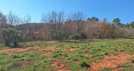 Montmeyan Terrain à bâtir - 2463158-6932annonce120260320TLLvz.jpeg Maisons Open