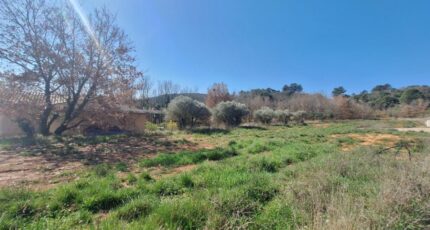 Montmeyan Terrain à bâtir - 2463135-6932annonce120260320L6DWJ.jpeg Maisons Open