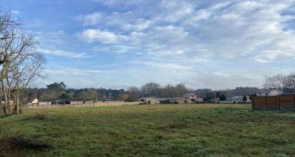 Léognan Terrain à bâtir - 2464219-9575annonce120260210ucVag.jpeg Maisons Open