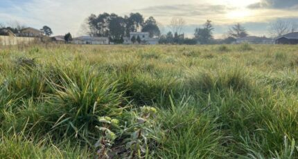 Léognan Terrain à bâtir - 2464219-9575annonce320260210siRou.jpeg Maisons Open