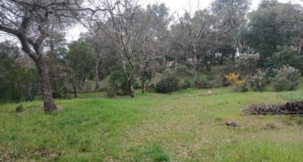 Carnoules Terrain à bâtir - 2462396-5922annonce120260320IIHq4.jpeg Maisons Open