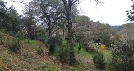 Carnoules Terrain à bâtir - 2462396-5922annonce320260320VWuqv.jpeg Maisons Open