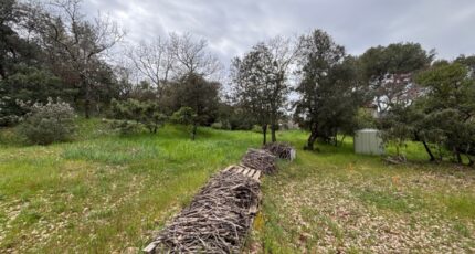 Carnoules Terrain à bâtir - 2464598-10122annonce320260323HnyqP.jpeg Maisons Open